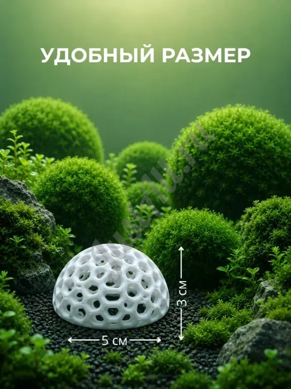 Форма для наращивания мха