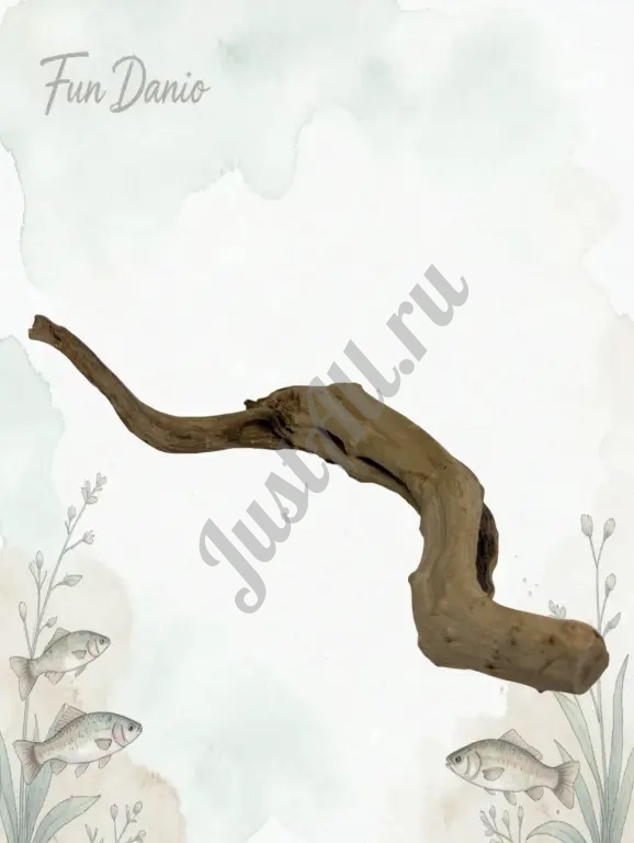 Коряга из дерева сакура