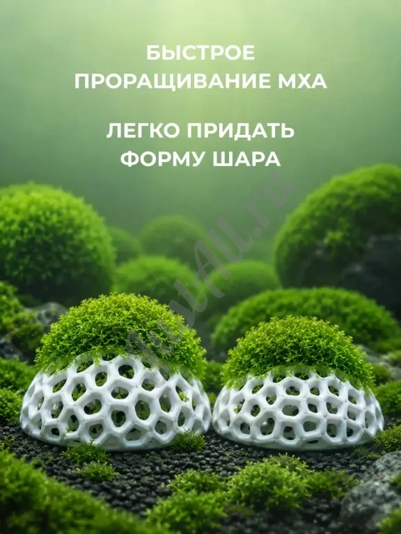 Форма для наращивания мха